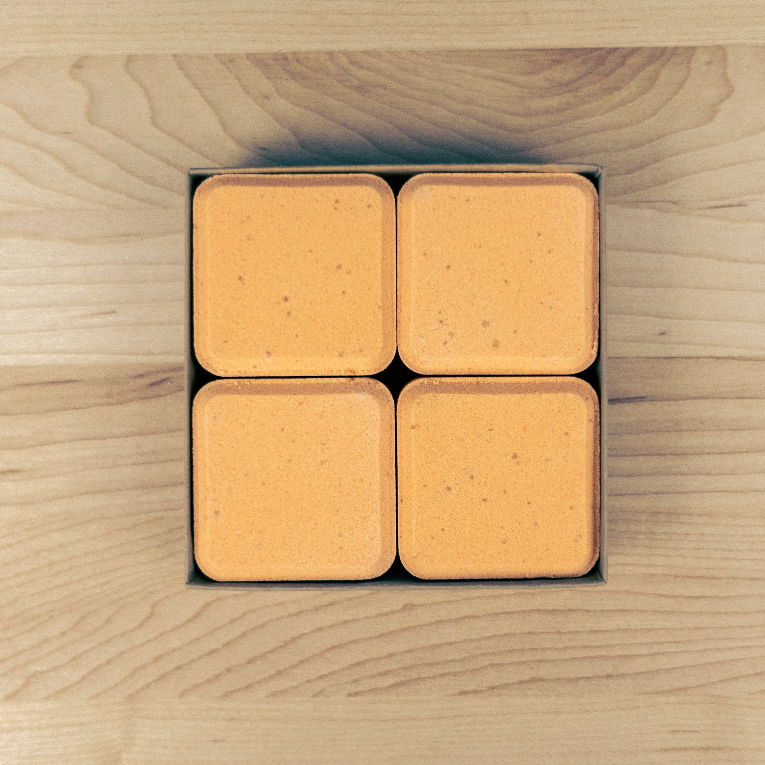 Citrus Sensation Shower Steamers