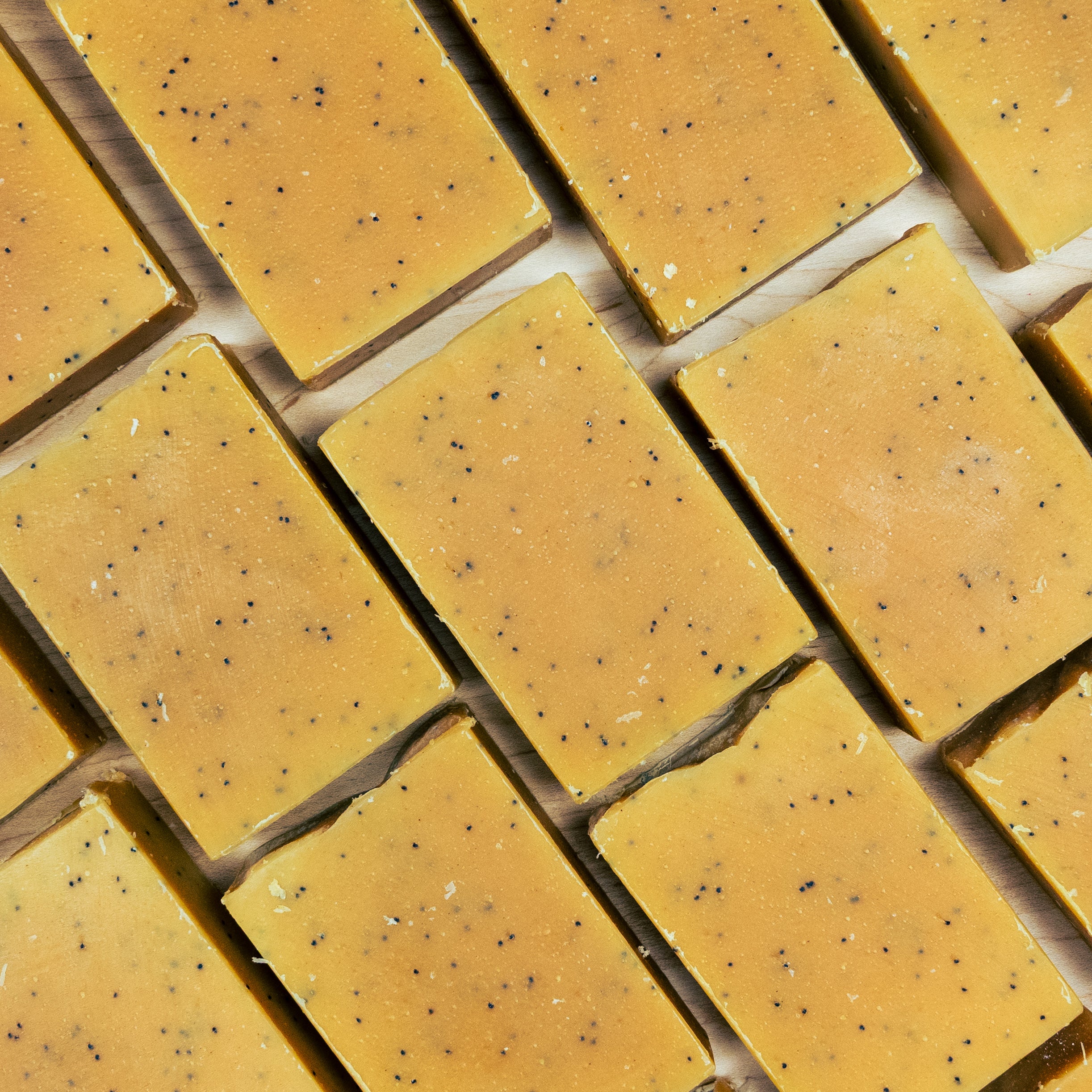 Lemon Poppyseed Coconut Milk Soap Layout