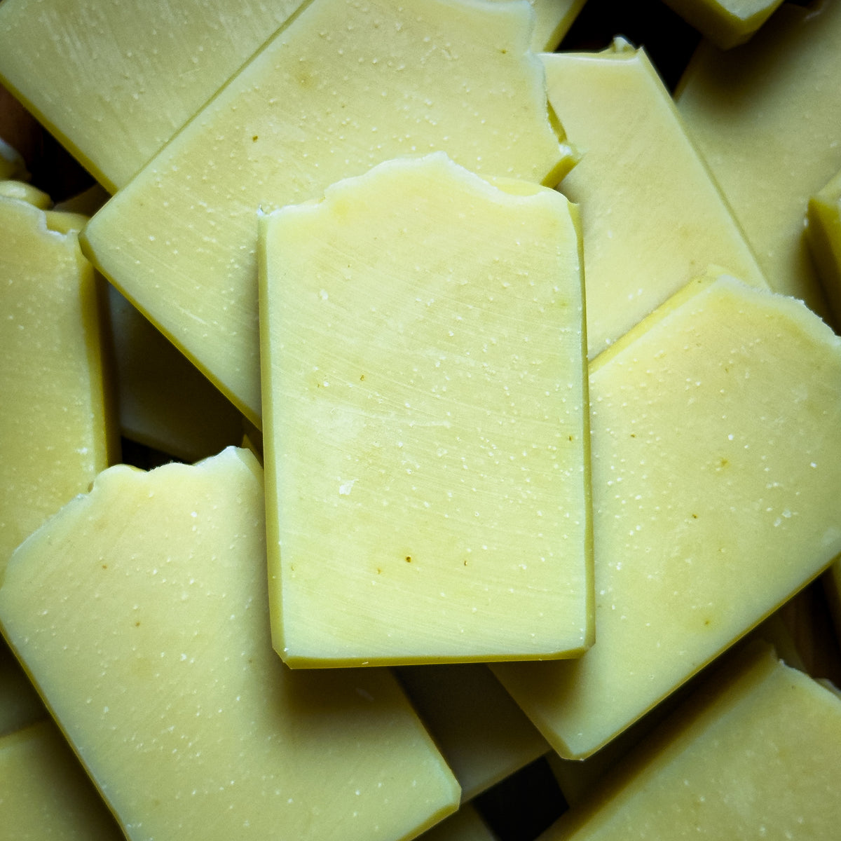 Pumpkin & Oatmeal Coconut Milk Soap